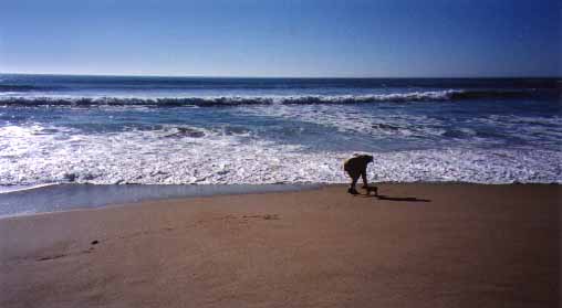 bink and lori on the beach